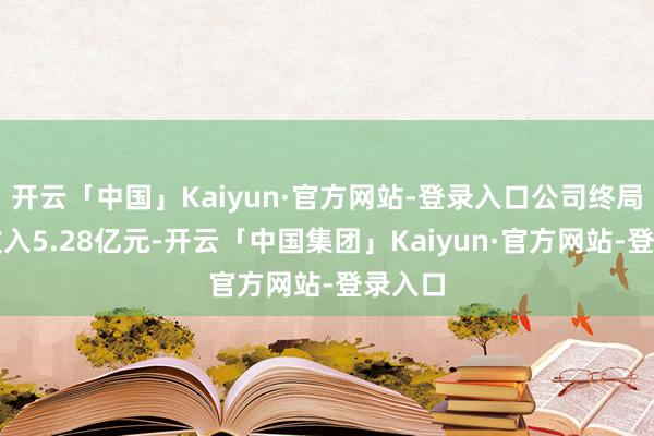 开云「中国」Kaiyun·官方网站-登录入口公司终局买卖收入5.28亿元-开云「中国集团」Kaiyun·官方网站-登录入口