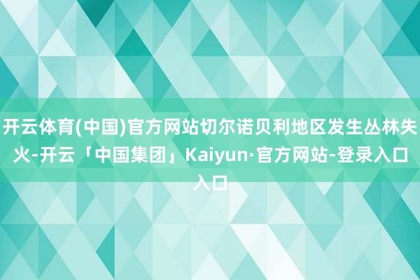 开云体育(中国)官方网站切尔诺贝利地区发生丛林失火-开云「中国集团」Kaiyun·官方网站-登录入口