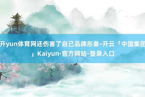 开yun体育网还伤害了自己品牌形象-开云「中国集团」Kaiyun·官方网站-登录入口