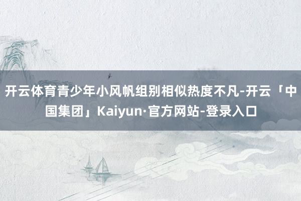 开云体育　　青少年小风帆组别相似热度不凡-开云「中国集团」Kaiyun·官方网站-登录入口