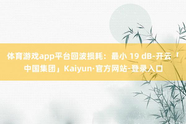 体育游戏app平台回波损耗：最小 19 dB-开云「中国集团」Kaiyun·官方网站-登录入口