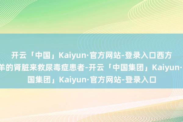 开云「中国」Kaiyun·官方网站-登录入口西方就有东谈主尝试用羊的肾脏来救尿毒症患者-开云「中国集团」Kaiyun·官方网站-登录入口