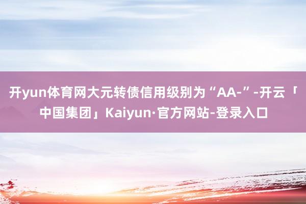 开yun体育网大元转债信用级别为“AA-”-开云「中国集团」Kaiyun·官方网站-登录入口