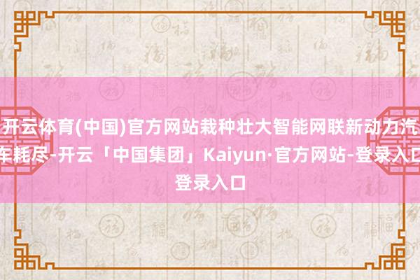 开云体育(中国)官方网站栽种壮大智能网联新动力汽车耗尽-开云「中国集团」Kaiyun·官方网站-登录入口