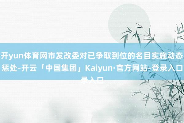 开yun体育网市发改委对已争取到位的名目实施动态惩处-开云「中国集团」Kaiyun·官方网站-登录入口