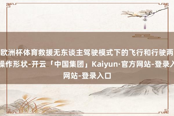 欧洲杯体育救援无东谈主驾驶模式下的飞行和行驶两种操作形状-开云「中国集团」Kaiyun·官方网站-登录入口