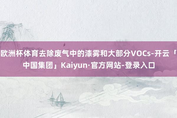 欧洲杯体育去除废气中的漆雾和大部分VOCs-开云「中国集团」Kaiyun·官方网站-登录入口
